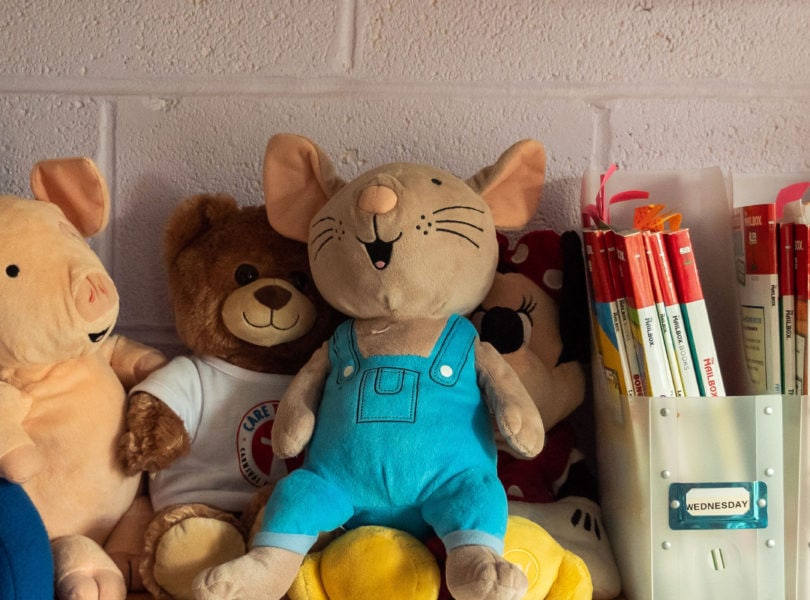 Stuffed animals on the shelf at the CPC Family Childcare Center