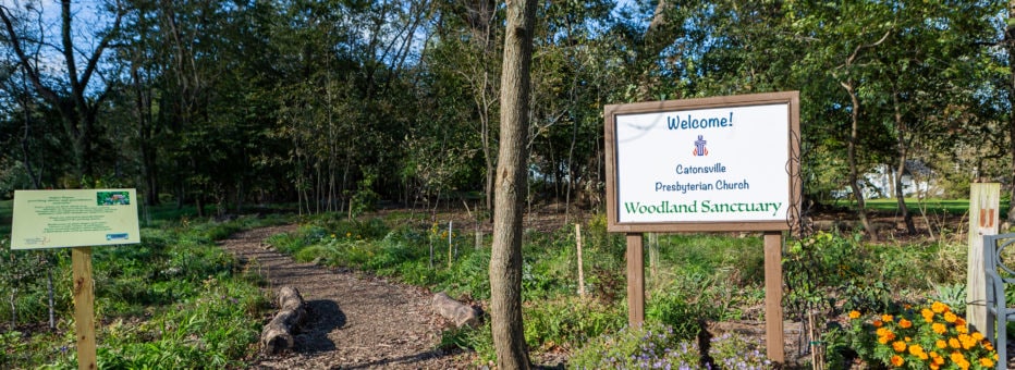 A sign that says, "Welcome to the Woodland Sanctuary" next to a path leading into the woods