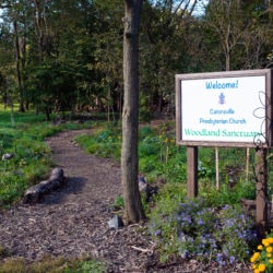A path leads into the woods next to a sign that says, "Welcome! Catonsville Presbyterian Church Woodland Sanctuary"
