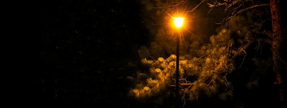 Lamp along dark path